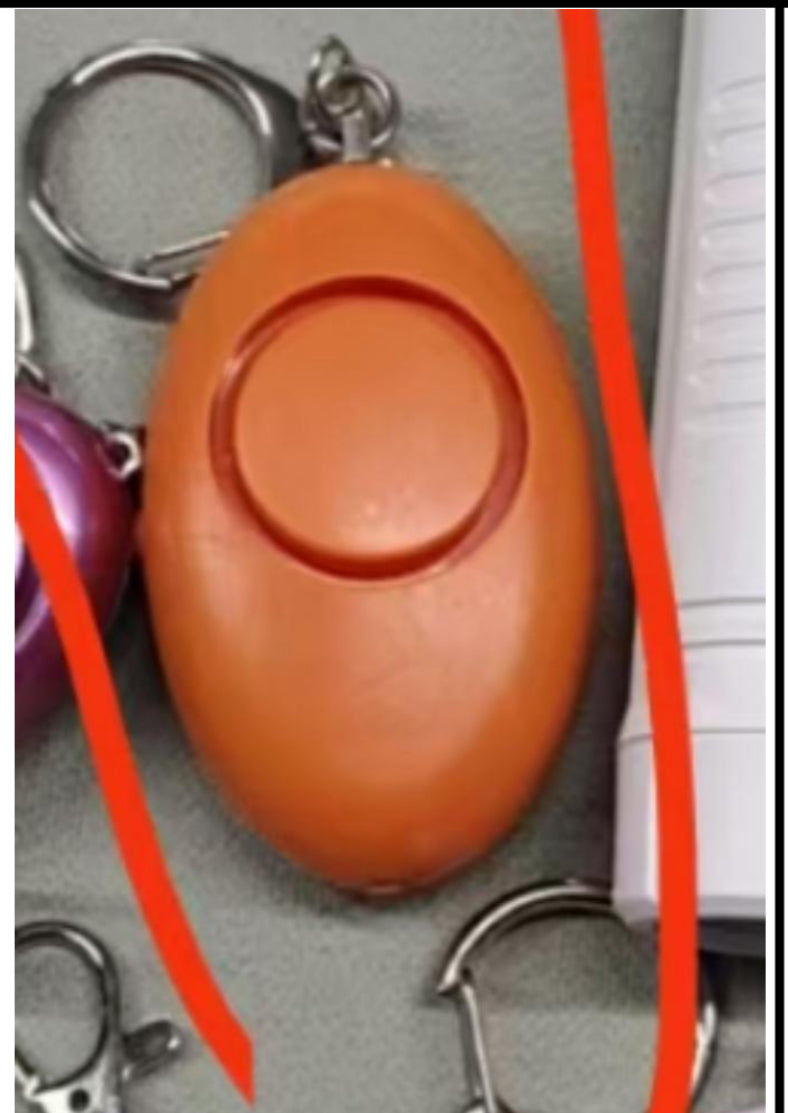 WHOLESALE ALARM/FLASHLIGHT