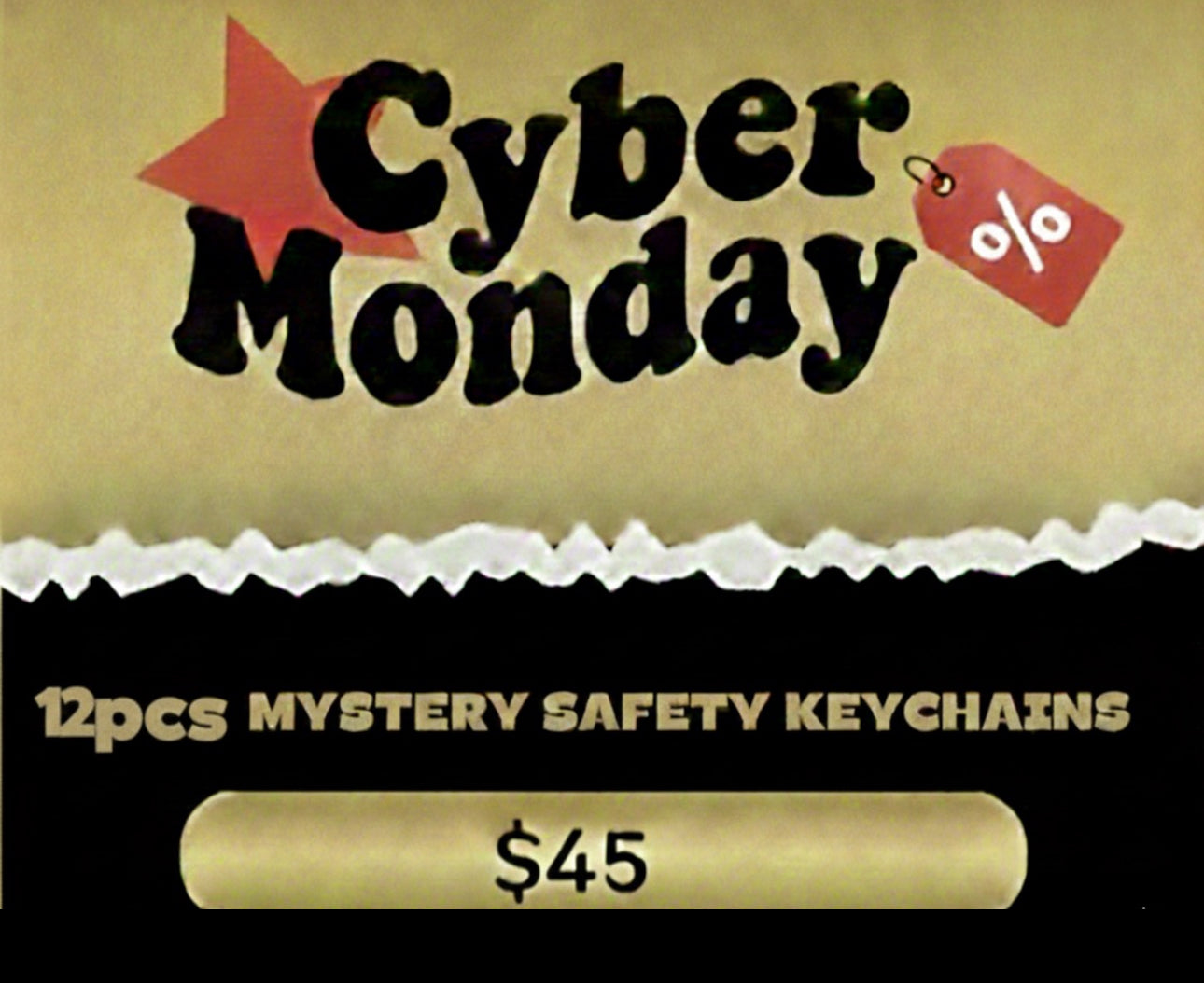 Cyber Monday $45 12pcs Mystery Safety Keychains