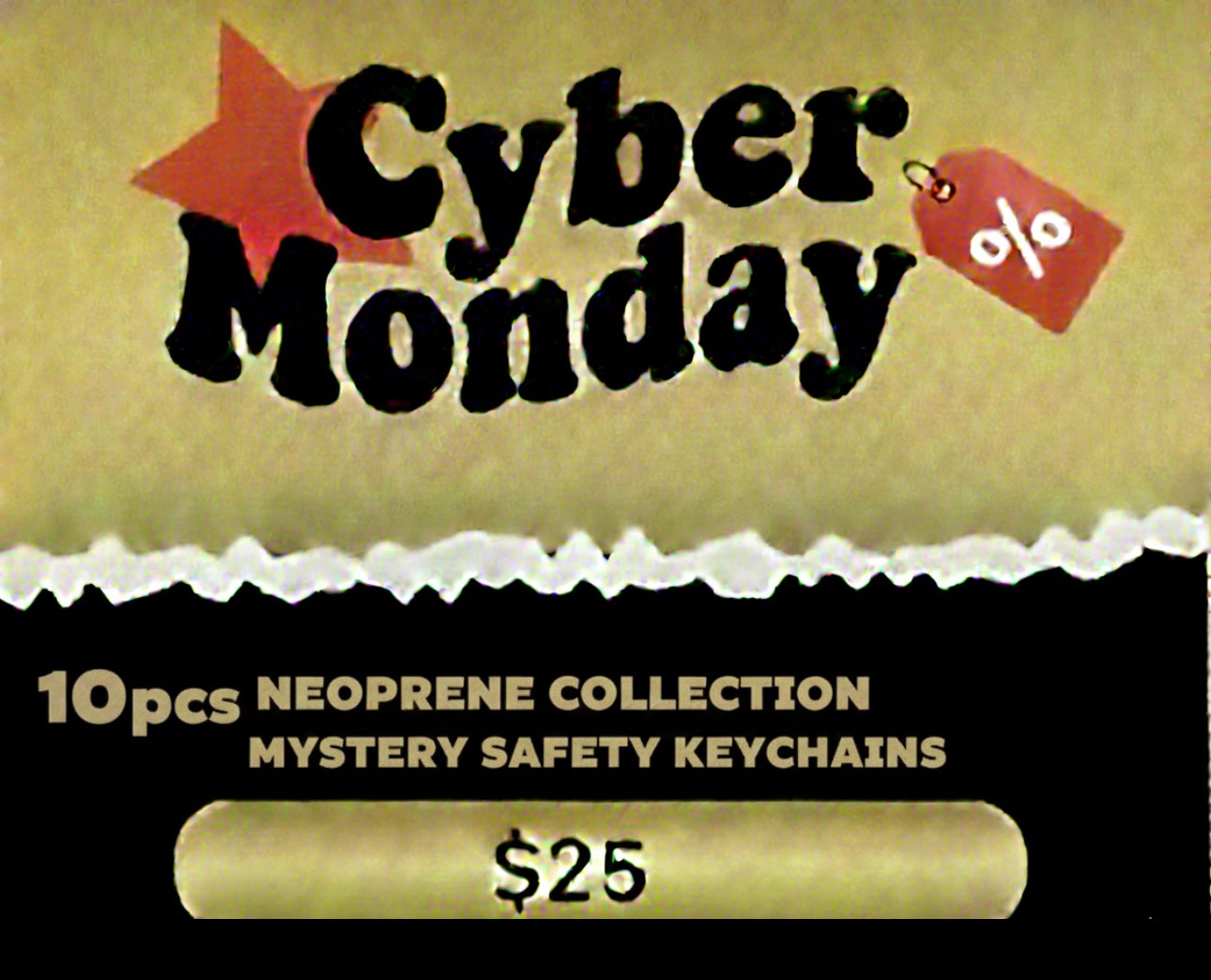 Cyber Monday $25 10pcs Neoprene Collection Mystery Safety Keychains