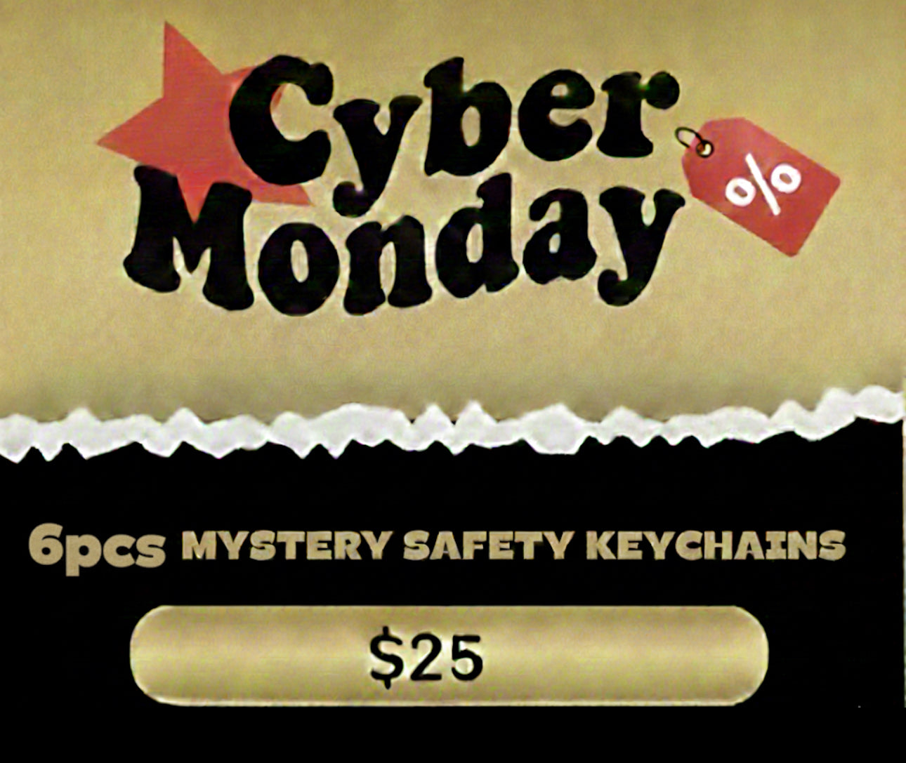Cyber Monday $25 6pcs Mystery Safety Keychains